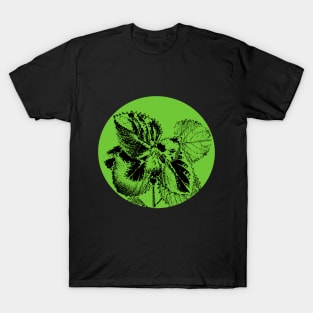 Oregano shadows T-Shirt